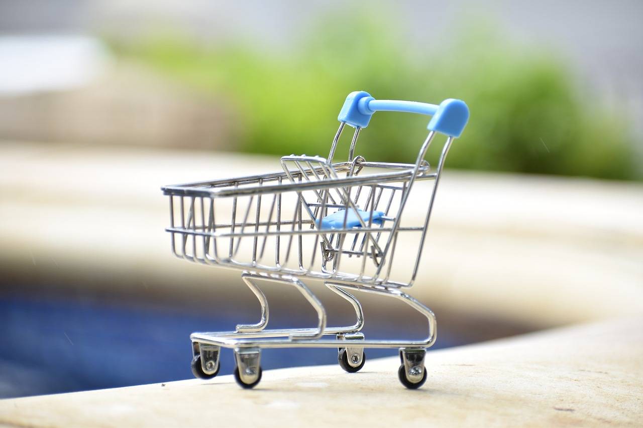 The Psychology of Brand Perception in Sustainable Fashion